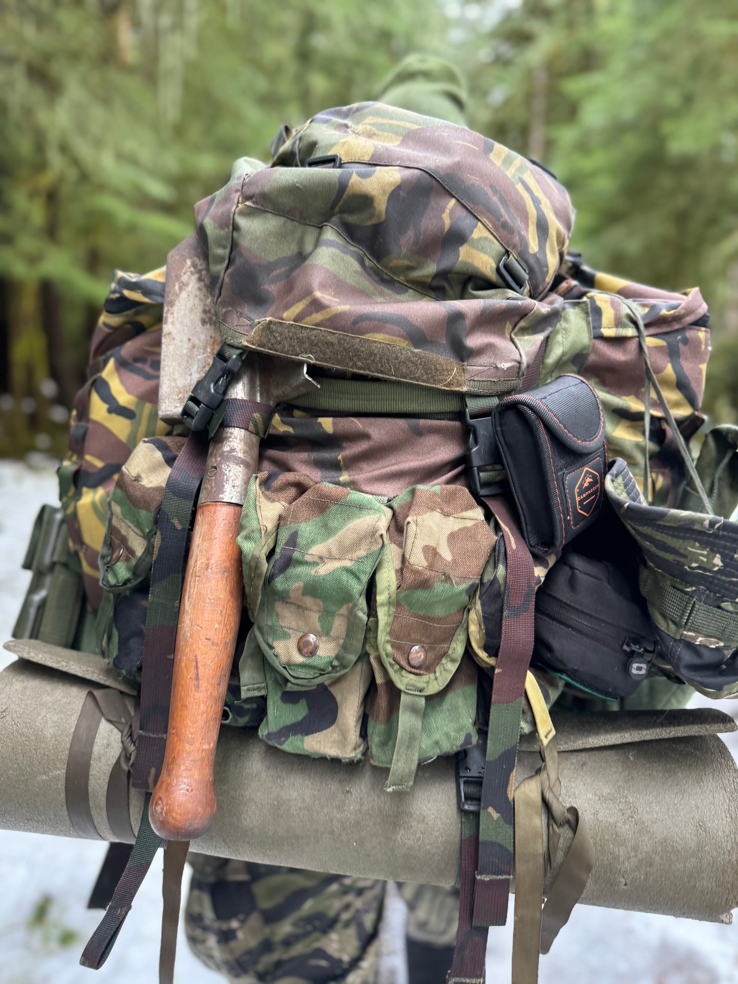 USGI MOLLE-ii M81 Woodland Magazine Pouch - Used