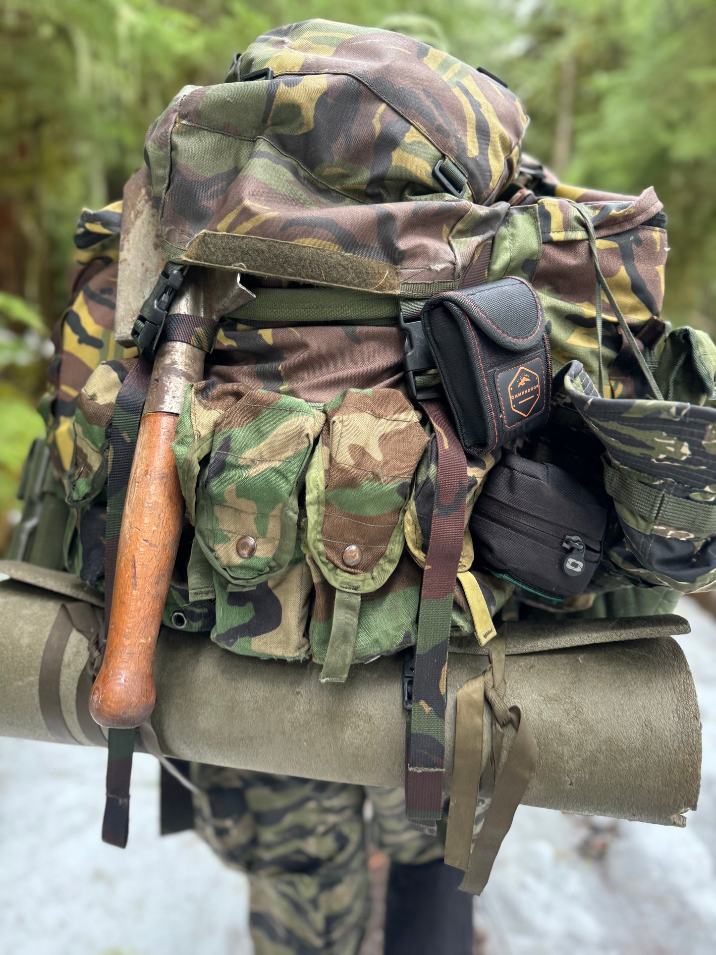 USGI MOLLE-ii M81 Woodland Magazine Pouch - Used