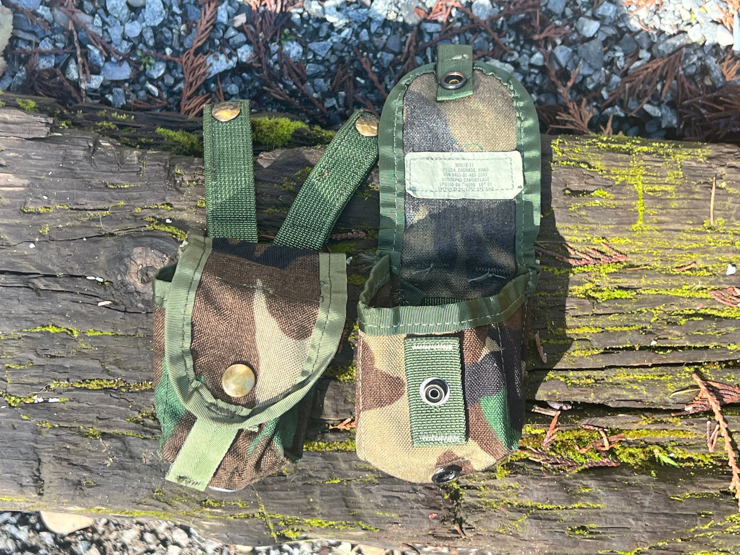 USGI MOLLE-ii M81 Woodland Magazine Pouch - Used