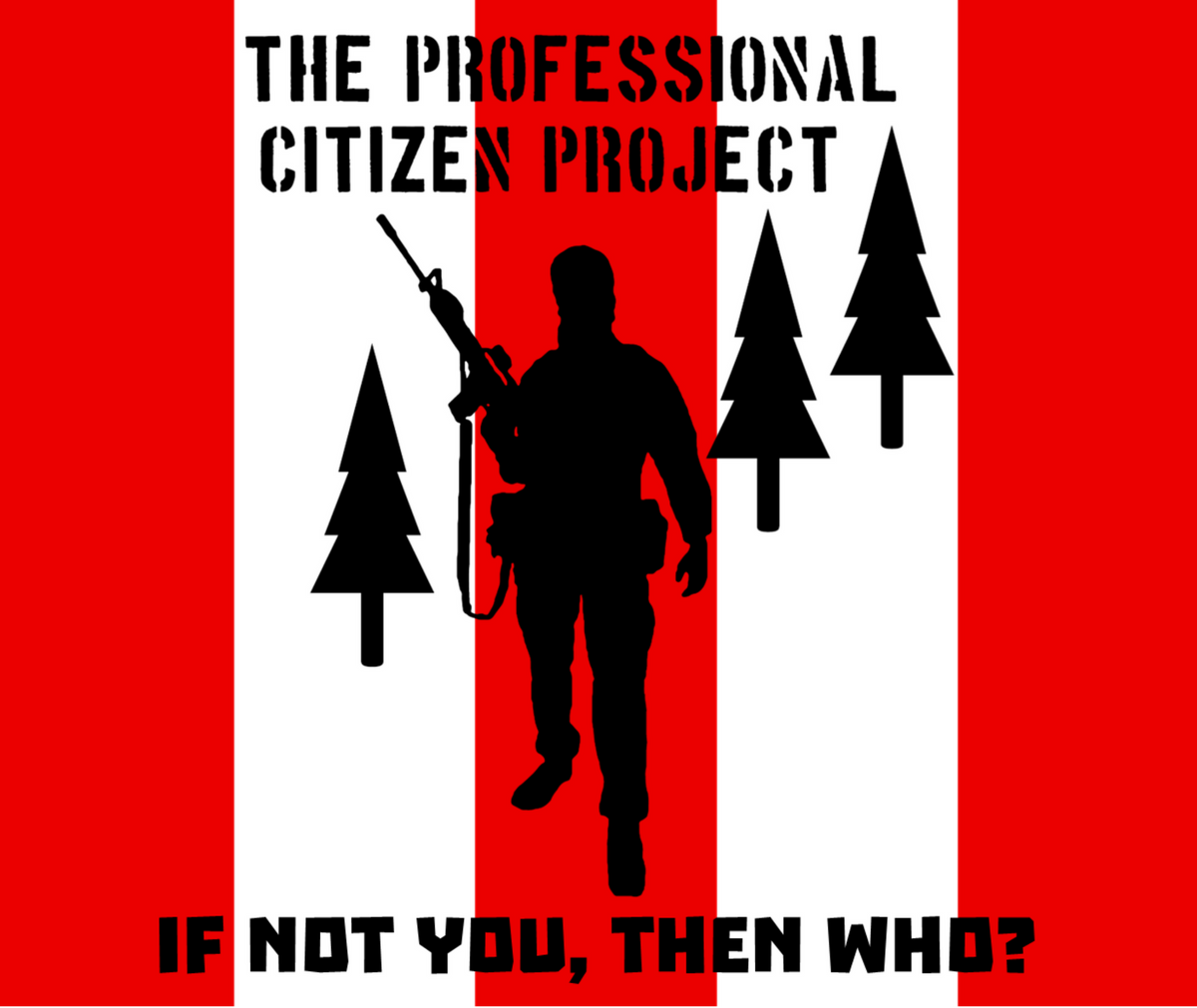 CM-8 The Modern Minuteman (also on Amazon)
