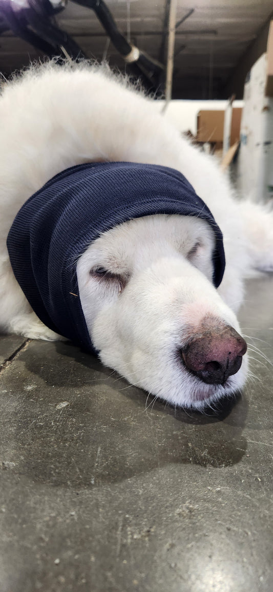 German Surplus East German Blue Cold Weather Face Mask