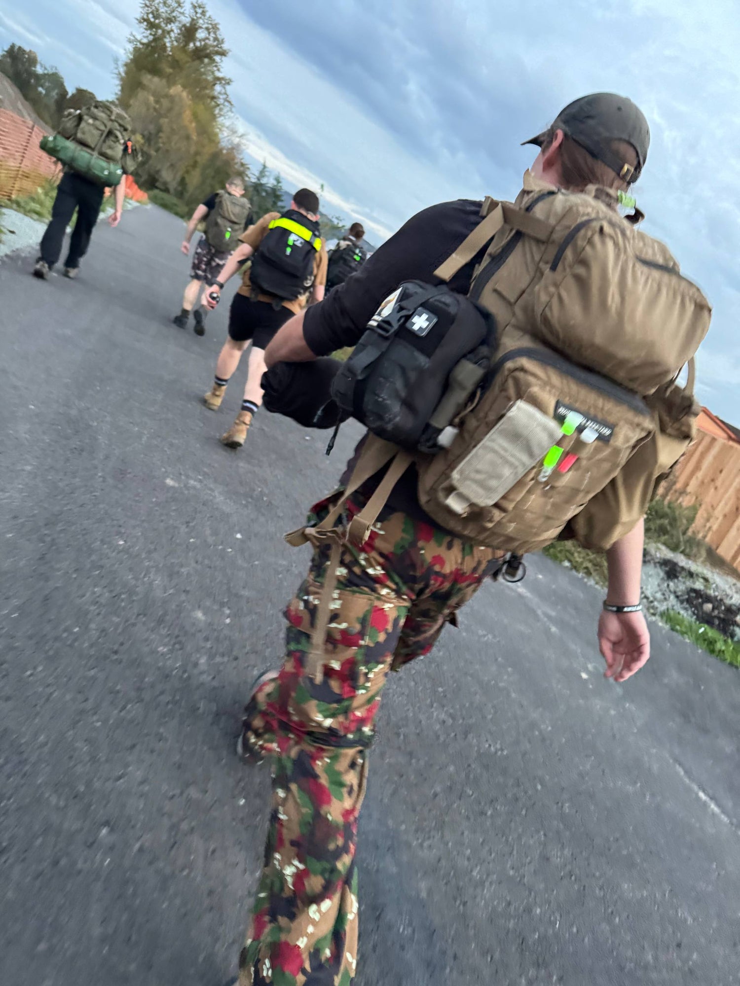 Taz 83 Alpenflage