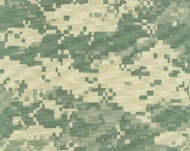 Camo Collection:  UCP