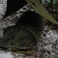 US Military issue Pop Up Tents - Used, One man bug net