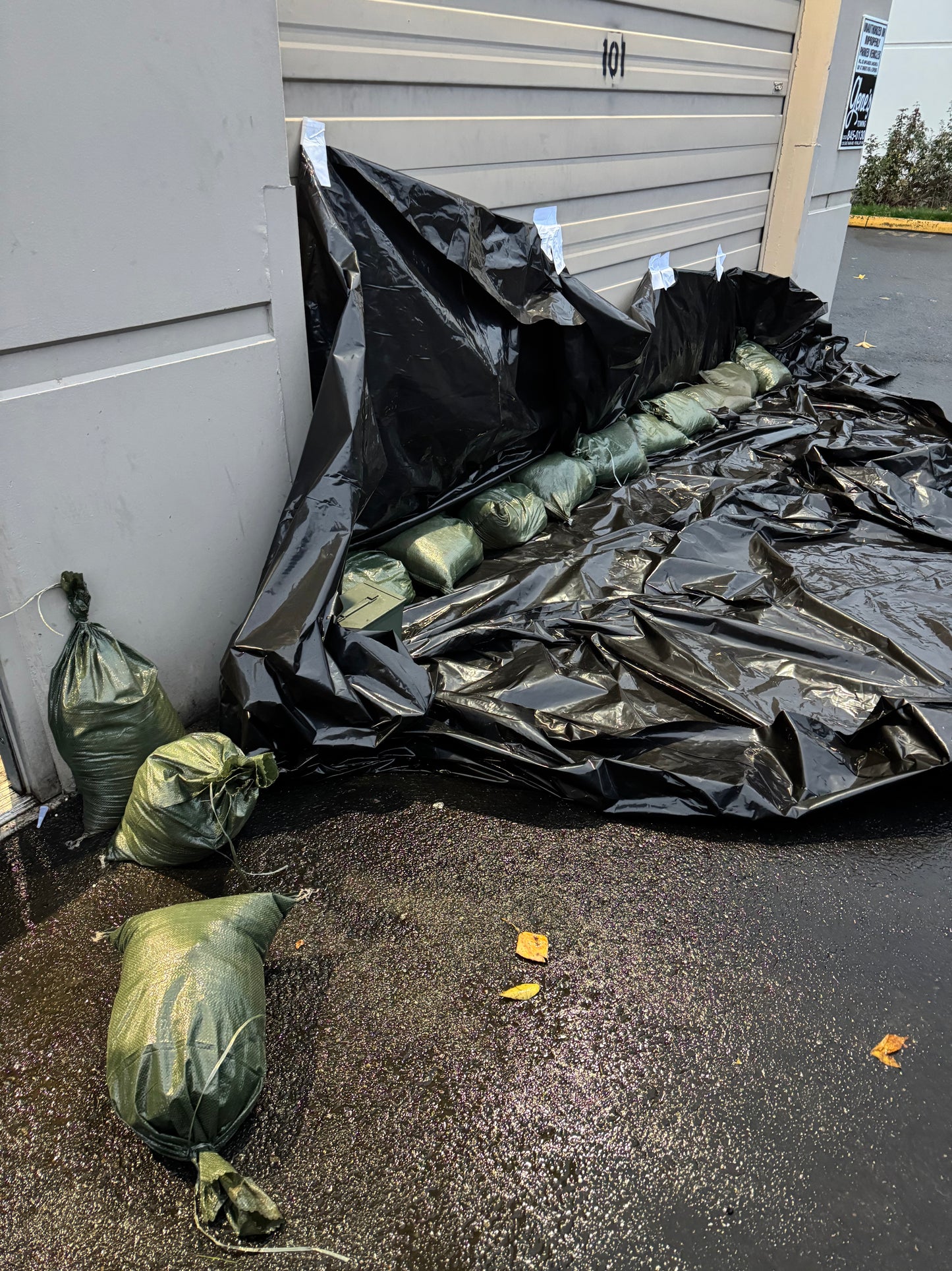 Sandbaggy Olive Drab Sandbags - 50 Pack