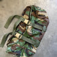 USGI MOLLE-ii M81 Rucksack and Components - Used