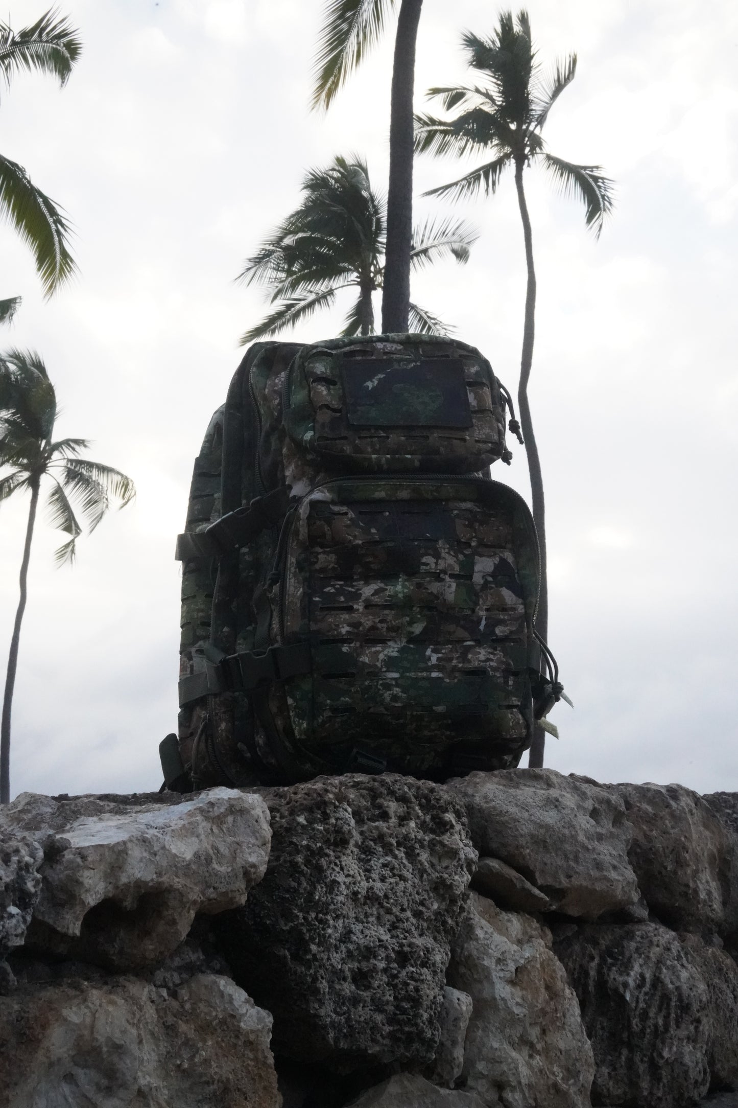 MIL-TEC Assault Packs (Back pack)