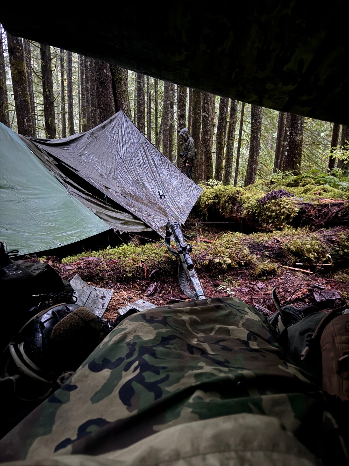USGI Woodland Bivouac Shelter Cover (Bivvy) - Surplus
