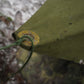 Romanian Military Canvas Half Shelter/Cape/Tarp