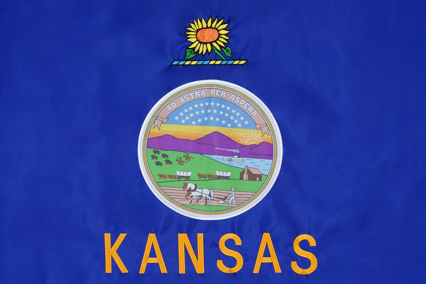 Kansas State Flag