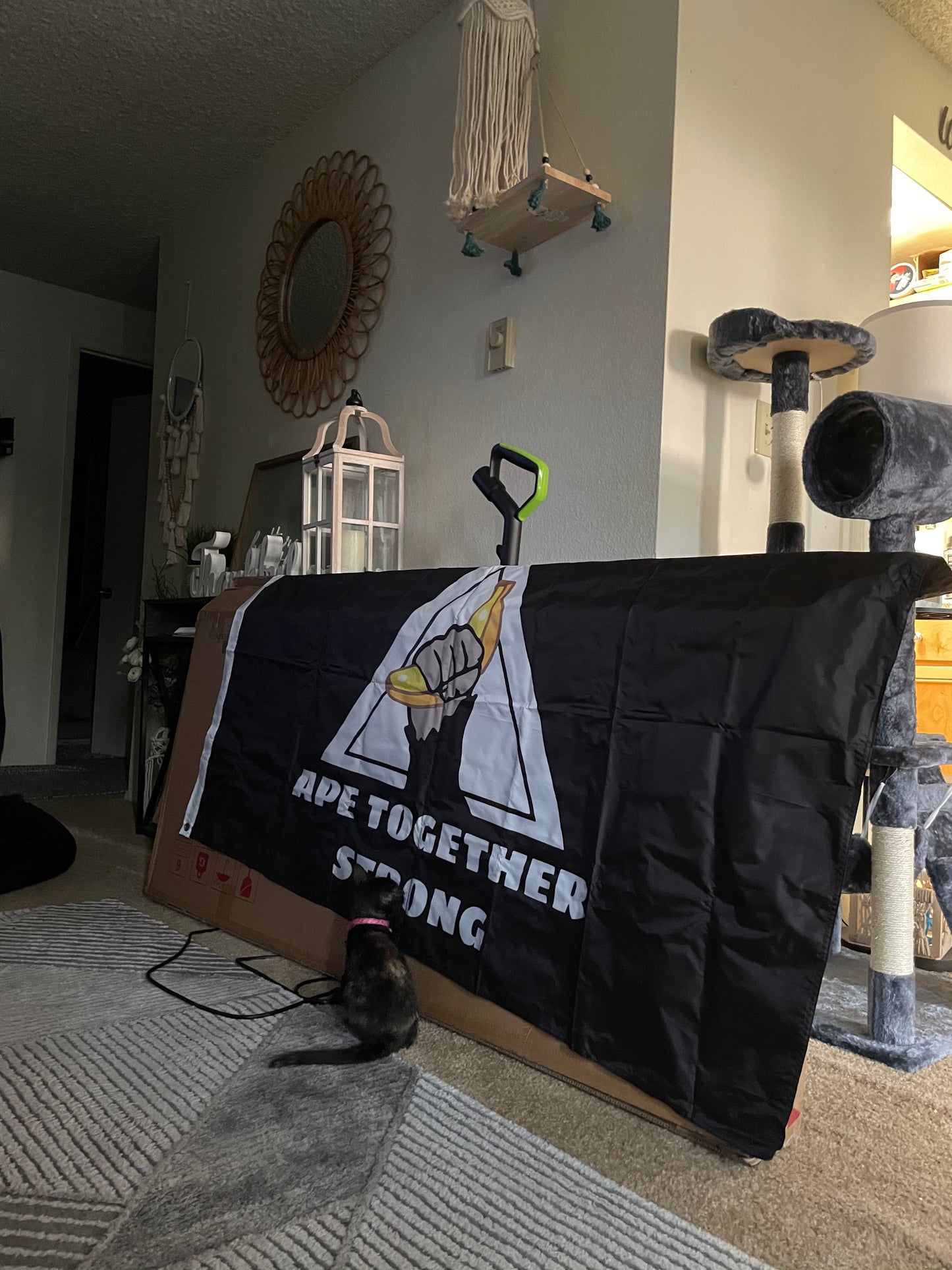 ODGG ATS Logo Flag